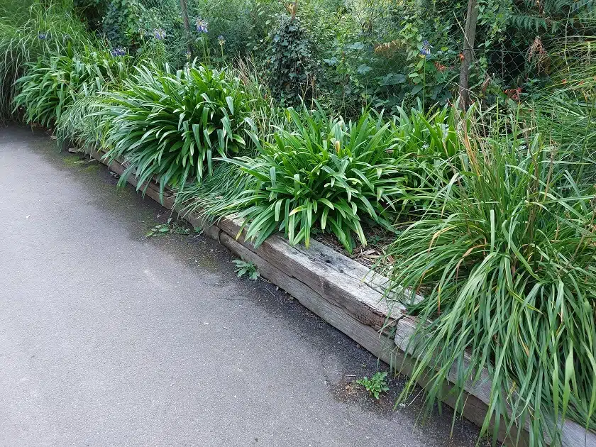 bordure de jardin traverse SNCF